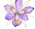Diseño sin título (12).png