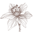 12_edited_edited.png