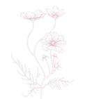 61.png