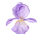Diseño sin título (11).png