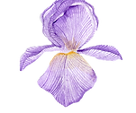 Diseño sin título (11).png