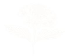68.png