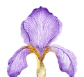 Diseño sin título (13).png