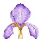 Diseño sin título (13).png