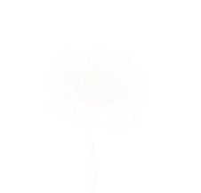 66.png