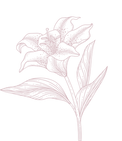 Pautas finales (4).png