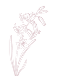 72.png
