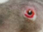 I see you detailjpg.jpg