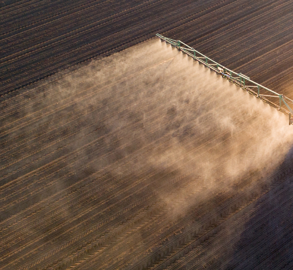 BackRow Max pre-emergence