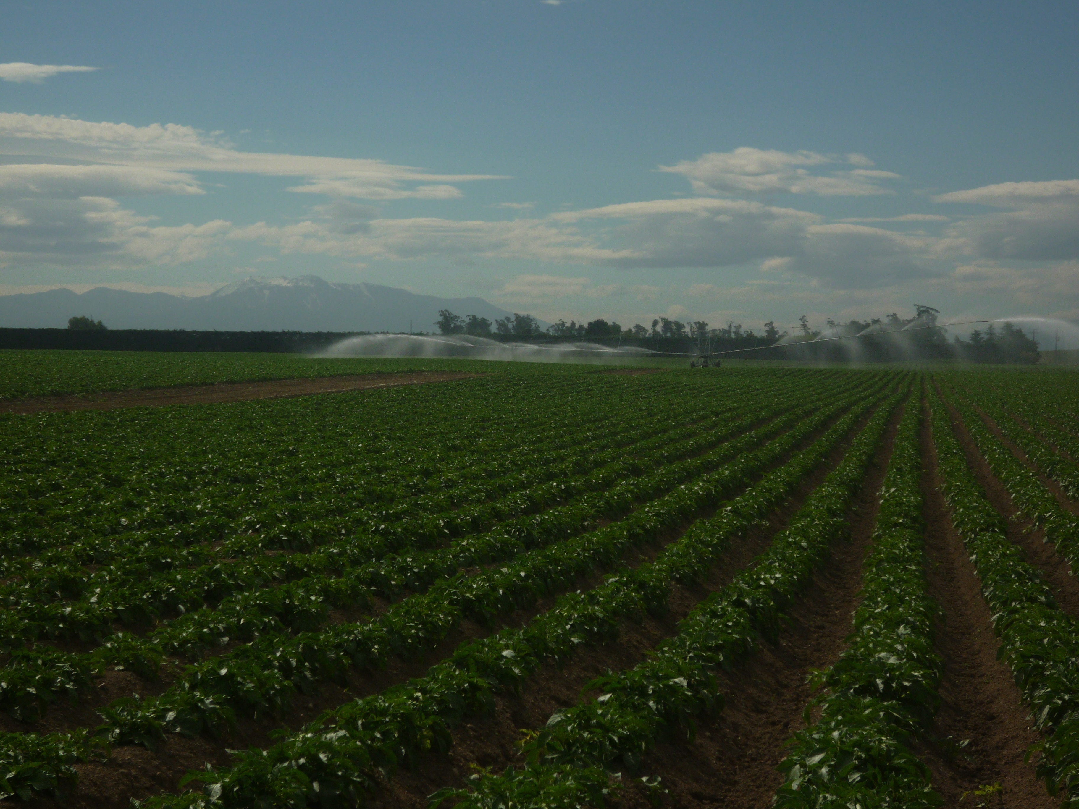 AgriSource Products for Agriculture