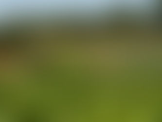 With CAPRA, tuber moth is small potatoes.