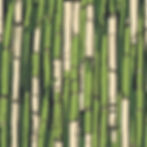 An aesthetic sugarcane.jpg