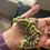 Thumbnail: Dragon