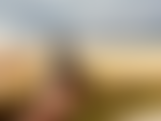 Day 80 ( 70km 380 vertical meters)