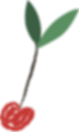 ciliegia