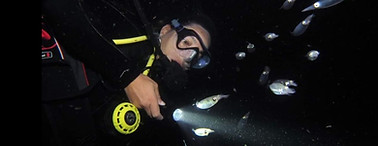 WhatsApp Image 2023-10-02 at 23.00.17.jpeg