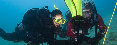 WhatsApp Image 2023-10-02 at 23.05.03.jpeg