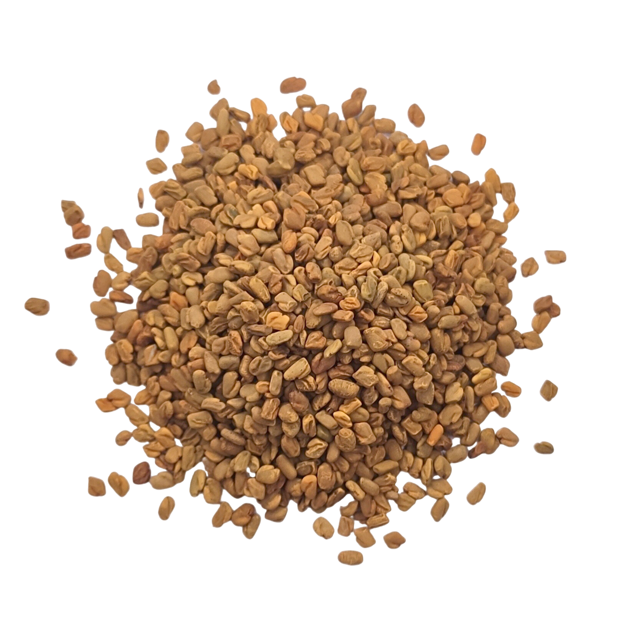 Fenugrec METHI / VINDION