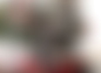 年末、犬猫と共に過ごす鬼頭の日記です。