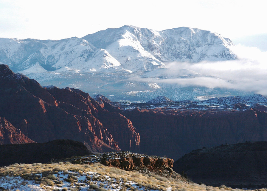 Travis photo of sham 6.jpg