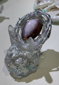 Shell's Nest