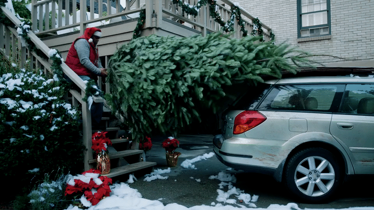 Darigold LMTH Christmas Tree Gif v2.mp4-high.gif