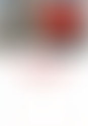 C3S Issue Brief III: Flipside View of Sino-Indian Troop Disengagement: Victory or Lesson? ; By Dr R