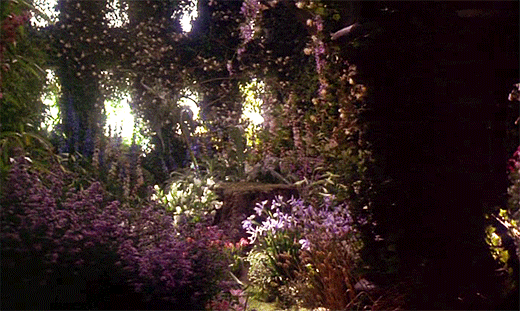 b42349e75ec1195d0e1f0ba290faf3a2.gif
