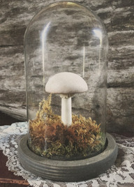 Porcelain Mushroom Terrarium