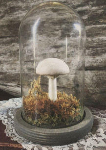 Porcelain Mushroom Terrarium