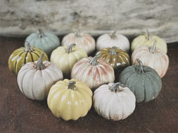 Porcelain Pumpkin Collection