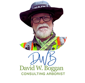 Board Certified Master Arborist David W. Boggan