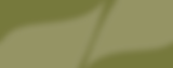 Untitled design.png