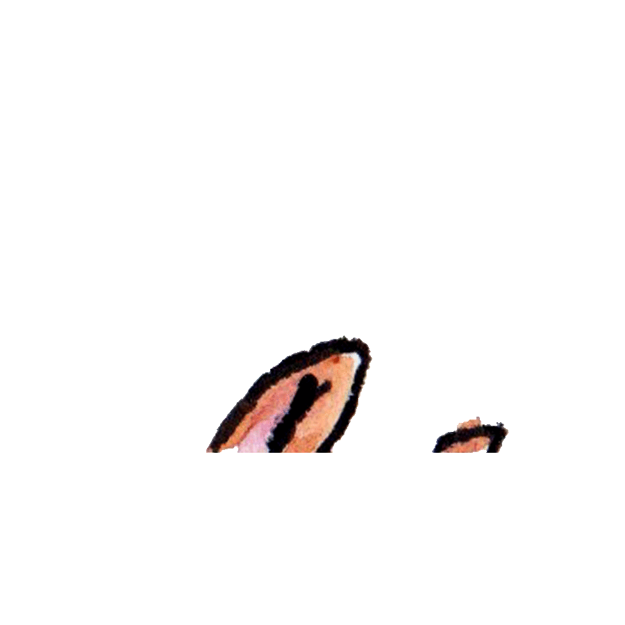 Webp.net-gifmaker (13).gif