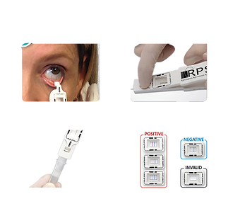 6d58bf93622d00ba643ab8609bde1c33-removebg-preview (1).png