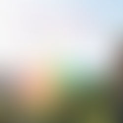 Welcome to The Q Family Way! 