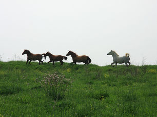 Bitcoin's Enigma: Calm Before the Storm & the Future of Cryptocurrency