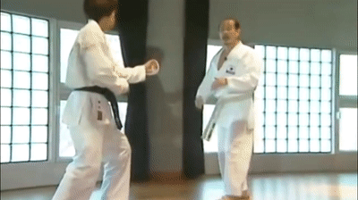 Gyaku-zuki, oi-zuki combo
