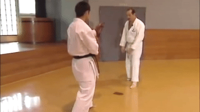 Double gyaku-zuki combo