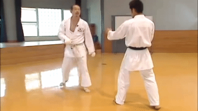 Nishimura_double_feint_mawashi_geri_joda