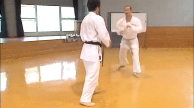 Nishimura_knee_raise_block_hook_sweep2.g