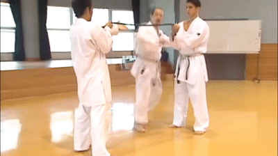 Leg snap for ura-mawashi-geri jodan