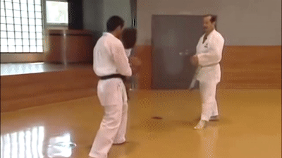 Angled mawash-geri jodan
