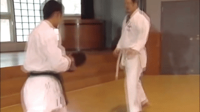 Retreating mawashi-geri