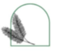 pine needle pic.JPG