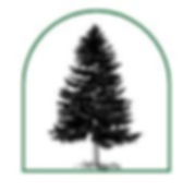 pine mini pic.JPG