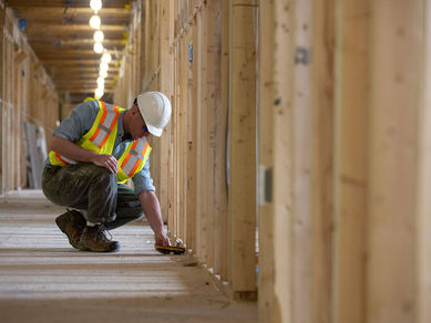 Mold in Multi-Family or Commercial Spaces: What to Do & Who to Hire