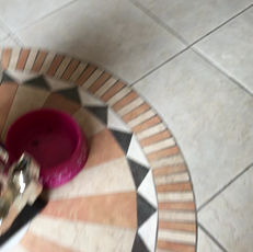 AI feeds my dog