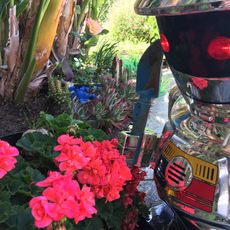 AI your gardener