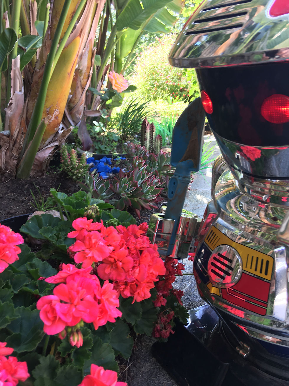 AI does your gardening AI gardener.